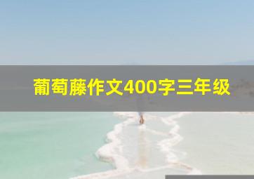 葡萄藤作文400字三年级