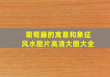 葡萄藤的寓意和象征风水图片高清大图大全