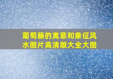 葡萄藤的寓意和象征风水图片高清版大全大图