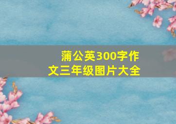 蒲公英300字作文三年级图片大全