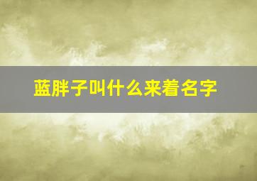 蓝胖子叫什么来着名字