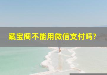 藏宝阁不能用微信支付吗?