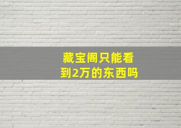 藏宝阁只能看到2万的东西吗