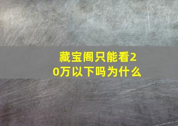 藏宝阁只能看20万以下吗为什么