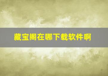 藏宝阁在哪下载软件啊