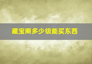 藏宝阁多少级能买东西