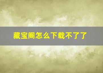 藏宝阁怎么下载不了了