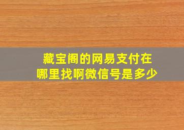 藏宝阁的网易支付在哪里找啊微信号是多少