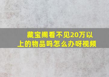 藏宝阁看不见20万以上的物品吗怎么办呀视频