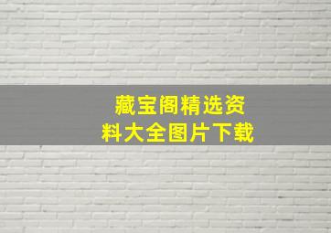 藏宝阁精选资料大全图片下载