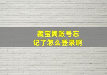 藏宝阁账号忘记了怎么登录啊