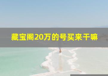 藏宝阁20万的号买来干嘛