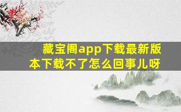 藏宝阁app下载最新版本下载不了怎么回事儿呀