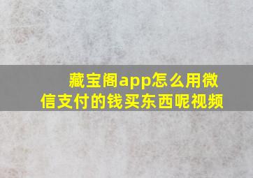 藏宝阁app怎么用微信支付的钱买东西呢视频