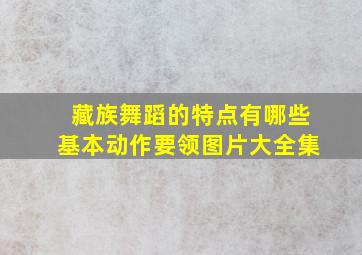 藏族舞蹈的特点有哪些基本动作要领图片大全集