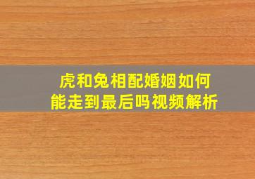 虎和兔相配婚姻如何能走到最后吗视频解析