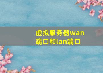 虚拟服务器wan端口和lan端口