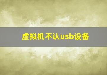 虚拟机不认usb设备