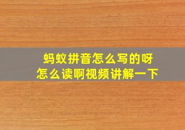 蚂蚁拼音怎么写的呀怎么读啊视频讲解一下