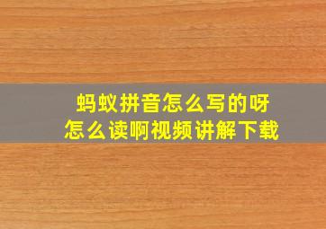 蚂蚁拼音怎么写的呀怎么读啊视频讲解下载