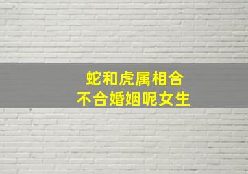 蛇和虎属相合不合婚姻呢女生