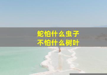 蛇怕什么虫子不怕什么树叶