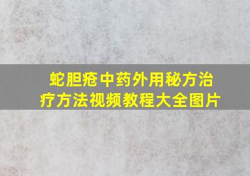 蛇胆疮中药外用秘方治疗方法视频教程大全图片