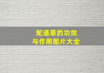 蛇退草的功效与作用图片大全