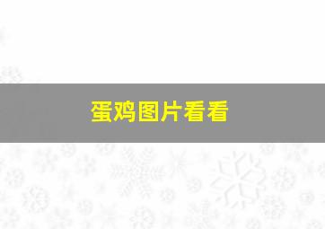 蛋鸡图片看看