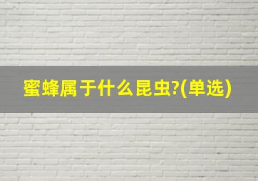 蜜蜂属于什么昆虫?(单选)