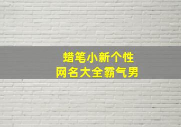 蜡笔小新个性网名大全霸气男