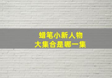 蜡笔小新人物大集合是哪一集