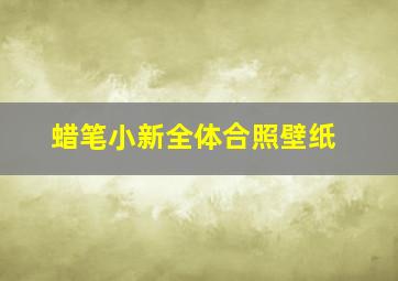 蜡笔小新全体合照壁纸