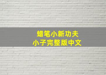 蜡笔小新功夫小子完整版中文