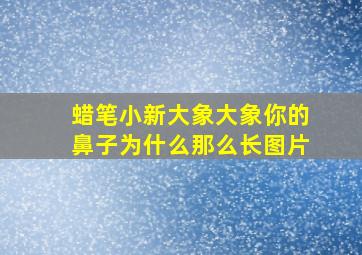 蜡笔小新大象大象你的鼻子为什么那么长图片