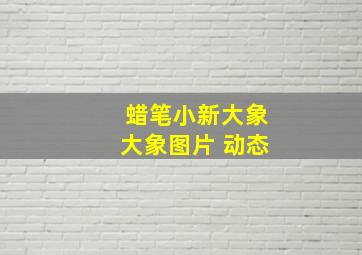 蜡笔小新大象大象图片 动态