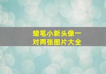 蜡笔小新头像一对两张图片大全