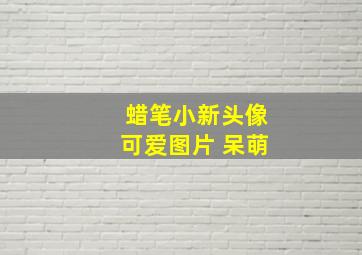 蜡笔小新头像可爱图片 呆萌