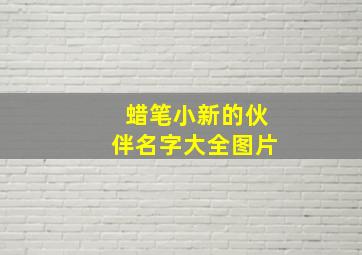 蜡笔小新的伙伴名字大全图片