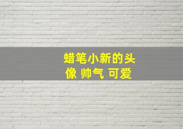 蜡笔小新的头像 帅气 可爱