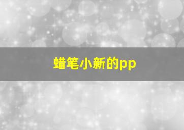 蜡笔小新的pp