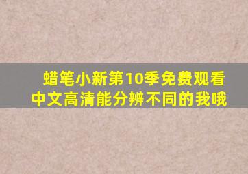 蜡笔小新第10季免费观看中文高清能分辨不同的我哦