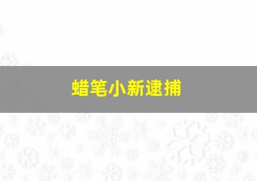 蜡笔小新逮捕