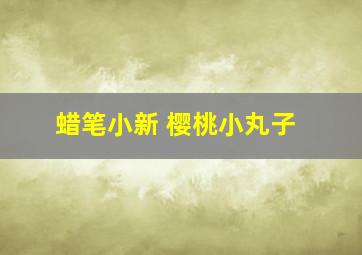 蜡笔小新 樱桃小丸子