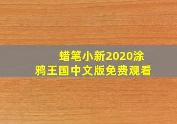 蜡笔小新2020涂鸦王国中文版免费观看