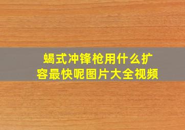 蝎式冲锋枪用什么扩容最快呢图片大全视频