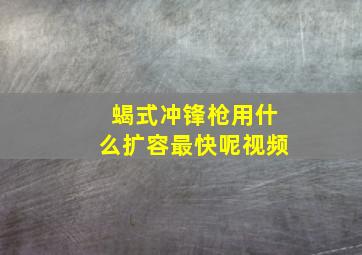 蝎式冲锋枪用什么扩容最快呢视频