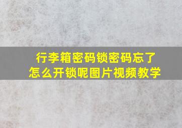 行李箱密码锁密码忘了怎么开锁呢图片视频教学