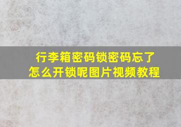 行李箱密码锁密码忘了怎么开锁呢图片视频教程