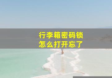 行李箱密码锁怎么打开忘了